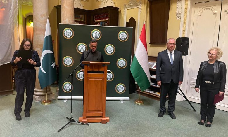 pakistani art - Showcasing Pakistani Art in Budapest