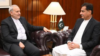 speaker - NA Speaker Sardar Ayaz Sadiq meets Iranian Ambassador Reza