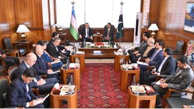 parliamentary diplomacy - Deepening Parliamentary Diplomacy With Uzbekistan