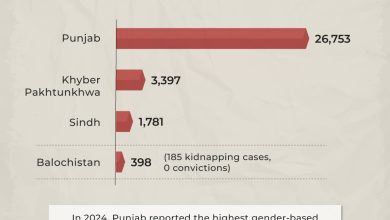 gender-based violence - Confronting Gender Based Violence in Pakistan 2024