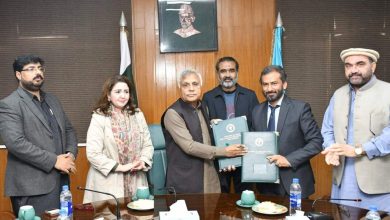 agricultural financing - PMAS-AAUR and SBP Boost Agricultural Financing
