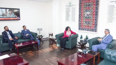 gender equality - Advancing Gender Equality Through Partnership