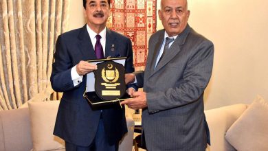 pakistan palestine - Pakistan Advances Support for Palestine