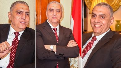 egypt pakistan - Boosting Egypt Pakistan Corridor Cooperation