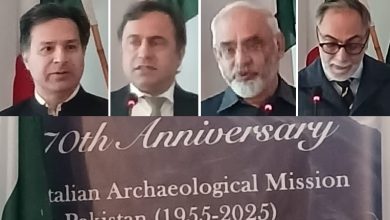 swat archaeology - Strengthening Swat Archaeology with Italian Partnership