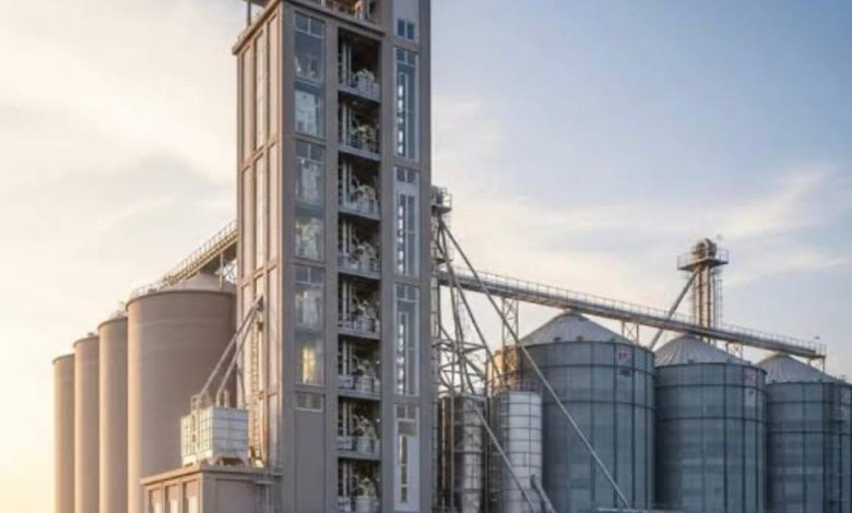 flour crisis - Tackling Flour Crisis Amid Wheat Allocation Allegations