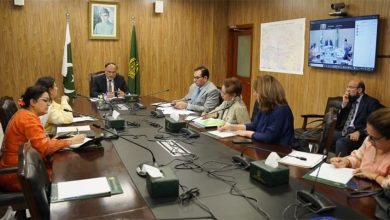 population strategy - Advancing a National Population Strategy