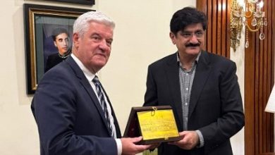 portugal sindh - Portugal and Sindh Forge Partnerships in Energy and Tech