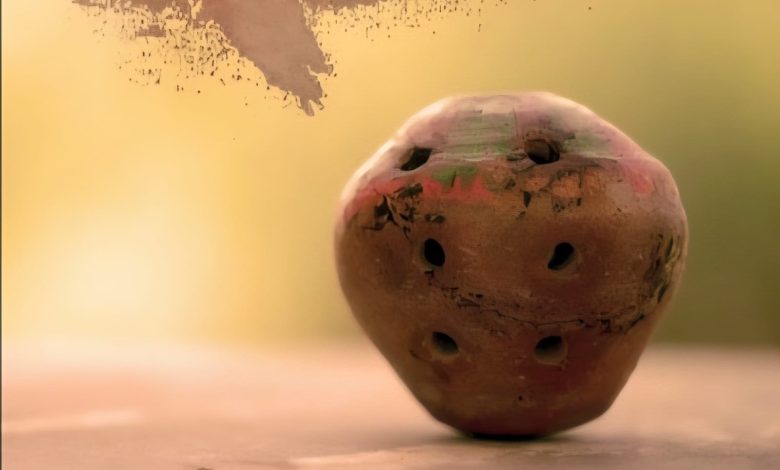 boreendo - Reviving Boreendo Tradition in Sindh