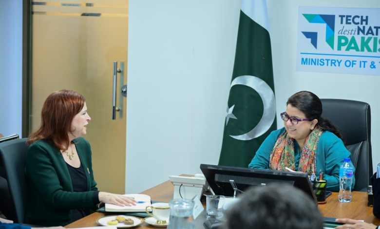 digital skills - Advancing Digital Skills Through US Pakistan Partnership