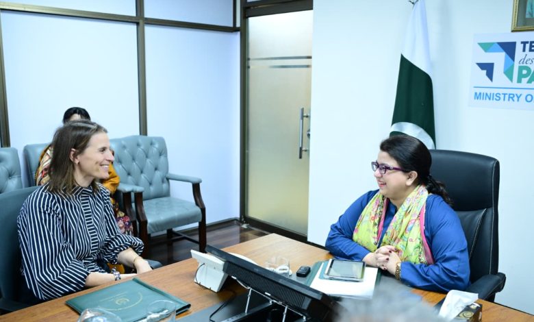 digital growth - Driving Pakistan's Digital Growth Through Startup Support