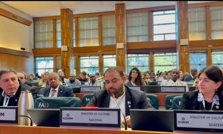 heritage protection - Pakistan Advances Heritage Protection with ICCROM