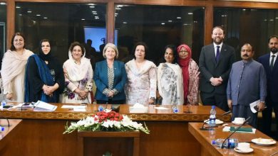 pakistan ireland ties - Strengthening Pakistan Ireland Ties Through Parliament