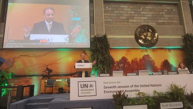 unea7 - Pakistan Advances Climate Action at UNEA7