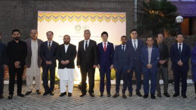 tree plantation day - Uniting Diplomacy and Art for Tree Plantation Day