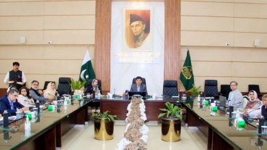 unsdcf punjab - Advancing UNSDCF Punjab Through Coordinated Action