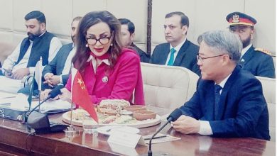 pakistan azerbaijan relations - Strengthening Pakistan Azerbaijan Relations in Baku