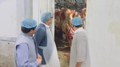 peshawar meat exports - Expanding Peshawar Meat Exports