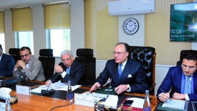 ecc decisions - ECC decisions push energy and fiscal reforms
