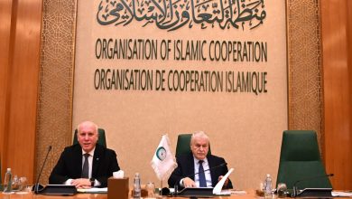 solidarity with palestine - OIC Marks Solidarity with Palestine in Jeddah