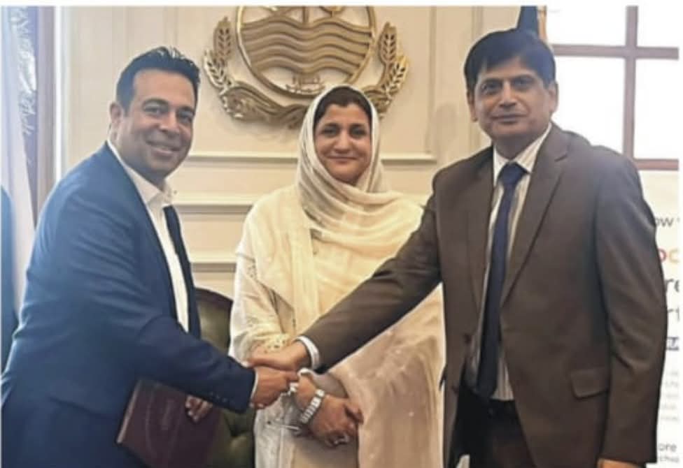 Expanding Skills with Google Career Certificates Peak Point