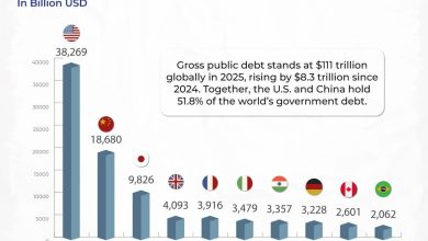 global public debt - Tracking Global Public Debt Shifts in 2025