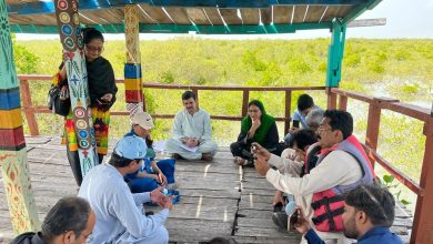 carbon markets - Strengthening Carbon Markets Reporting in Pakistan