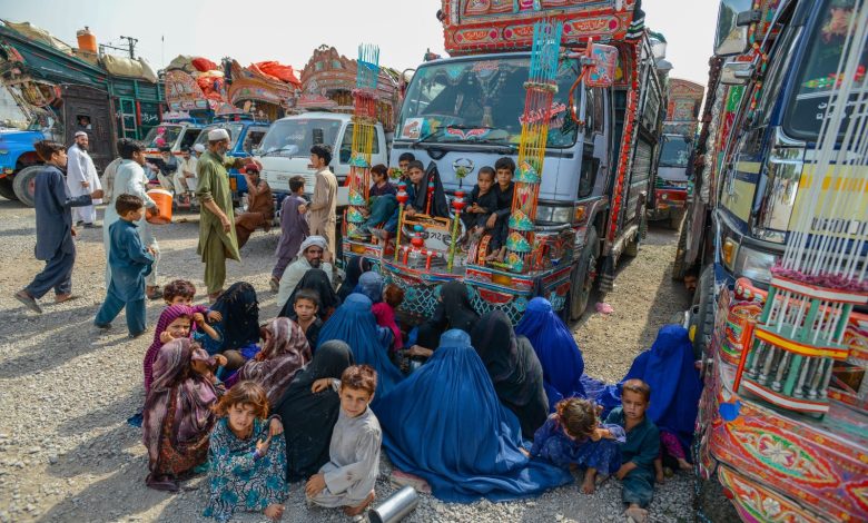 afghan refugees - UNHCR urges orderly returns for Afghan refugees