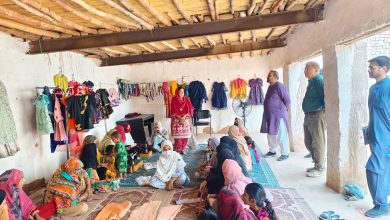 brick kiln skills - Advancing Brick Kiln Skills for Women