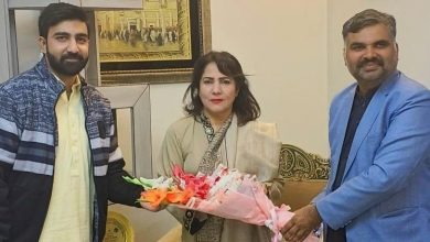 pm youth program - Farzana Kausar Named PM Youth Program Focal Person