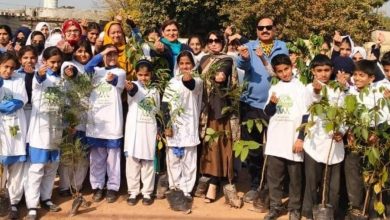 youth climate justice - Youth Climate Justice Ambassadors Launch Tree Drive
