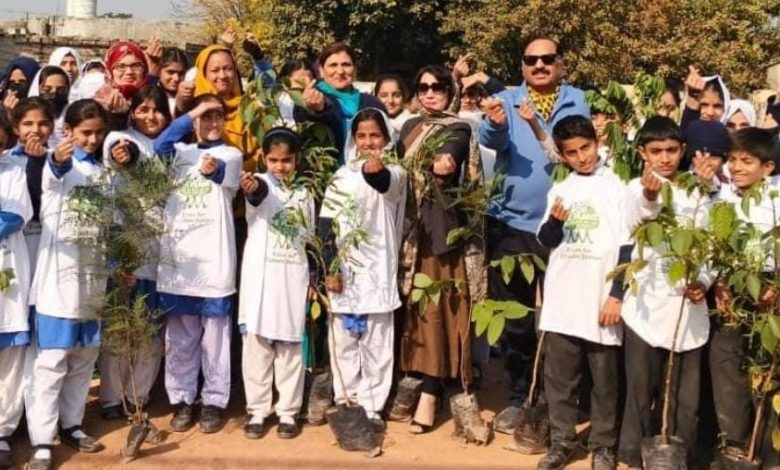 youth climate justice - Youth Climate Justice Ambassadors Launch Tree Drive