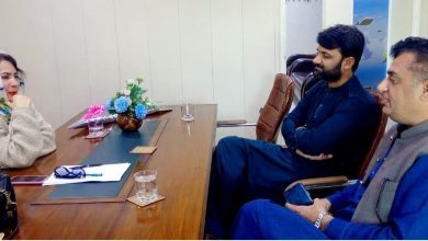 farzana kausar - Farzana Kausar Appointed to Lead PM Youth Programme