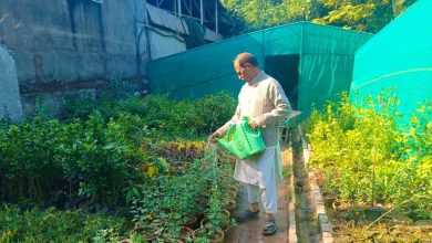 rawalpindi horticulture - Greening Rawalpindi with Horticulture Drive