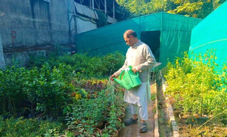 rawalpindi horticulture - Greening Rawalpindi with Horticulture Drive