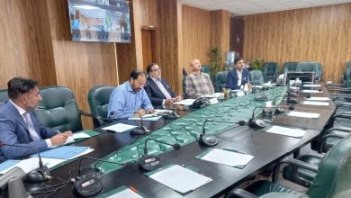 wheat seed - Ensuring Uninterrupted Wheat Seed Delivery Nationwide