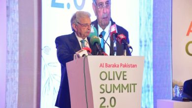 olive sector - Boosting Pakistan Olive Sector for Exports