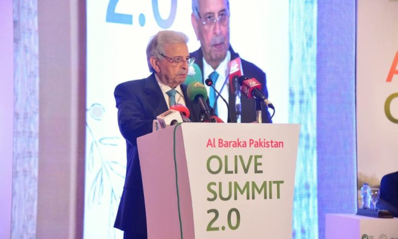 olive sector - Boosting Pakistan Olive Sector for Exports