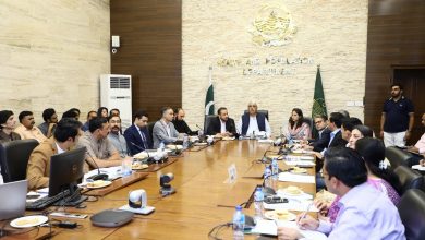 dengue control - Punjab Launches Intensified Dengue Control Measures