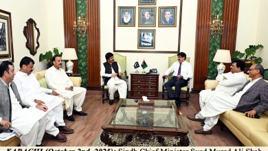 sindh punjab ties - Sindh Chief Meets Punjab Governor to Strengthen Ties