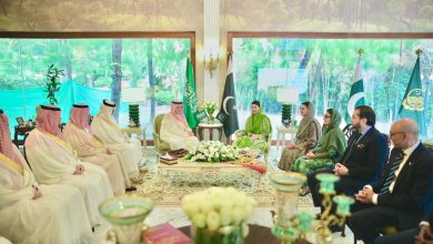 punjab investment - Driving Punjab Investment with Saudi Partners