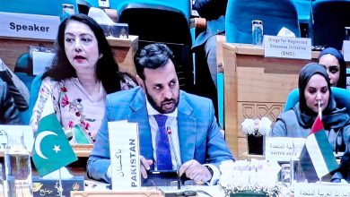 who regional committee - Pakistan Health Minister Joins WHO Regional Committee