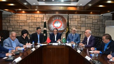 industrial cooperation - Boosting Industrial Cooperation Between China and Pakistan
