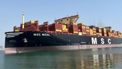 msc micol - MSC Micol Anchors at South Asia Pakistan Terminal