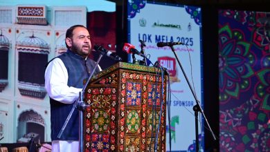 lok mela 2025 - Experience Lok Mela 2025 Celebrating Folk Arts